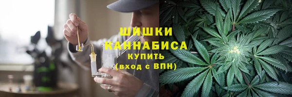 ПСИЛОЦИБИНОВЫЕ ГРИБЫ Богданович
