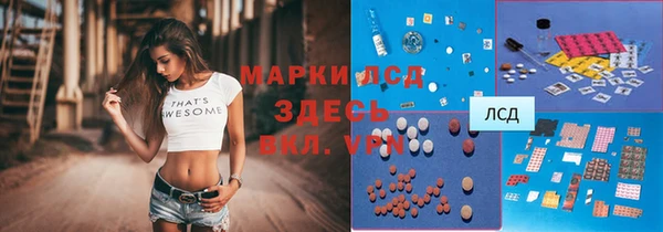 ПСИЛОЦИБИНОВЫЕ ГРИБЫ Богданович