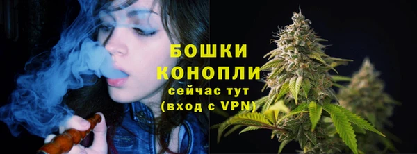 тгк Богородицк