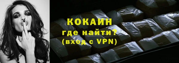 ПСИЛОЦИБИНОВЫЕ ГРИБЫ Богданович