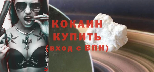 ПСИЛОЦИБИНОВЫЕ ГРИБЫ Богданович