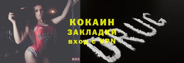 ПСИЛОЦИБИНОВЫЕ ГРИБЫ Богданович