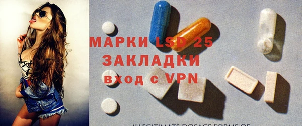 ПСИЛОЦИБИНОВЫЕ ГРИБЫ Богданович