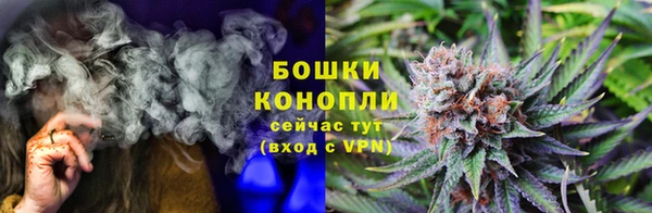 ПСИЛОЦИБИНОВЫЕ ГРИБЫ Богданович